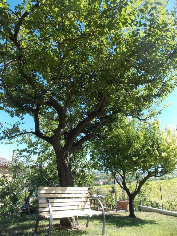 شقة Il Borghetto San Lorenzo in Campo المظهر الخارجي الصورة