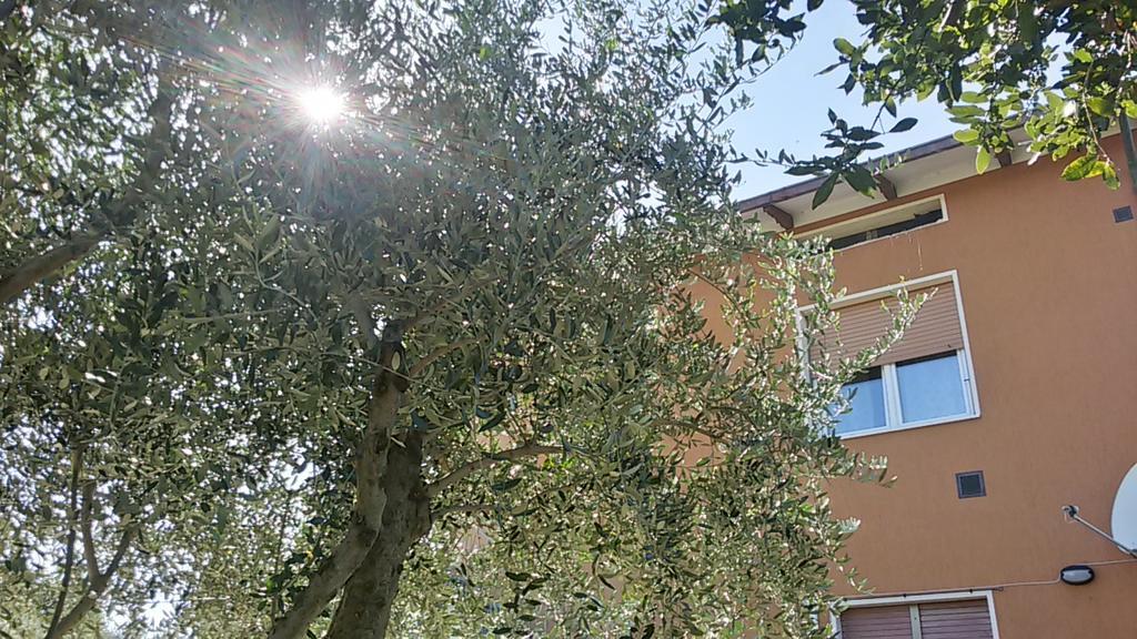 شقة Il Borghetto San Lorenzo in Campo المظهر الخارجي الصورة